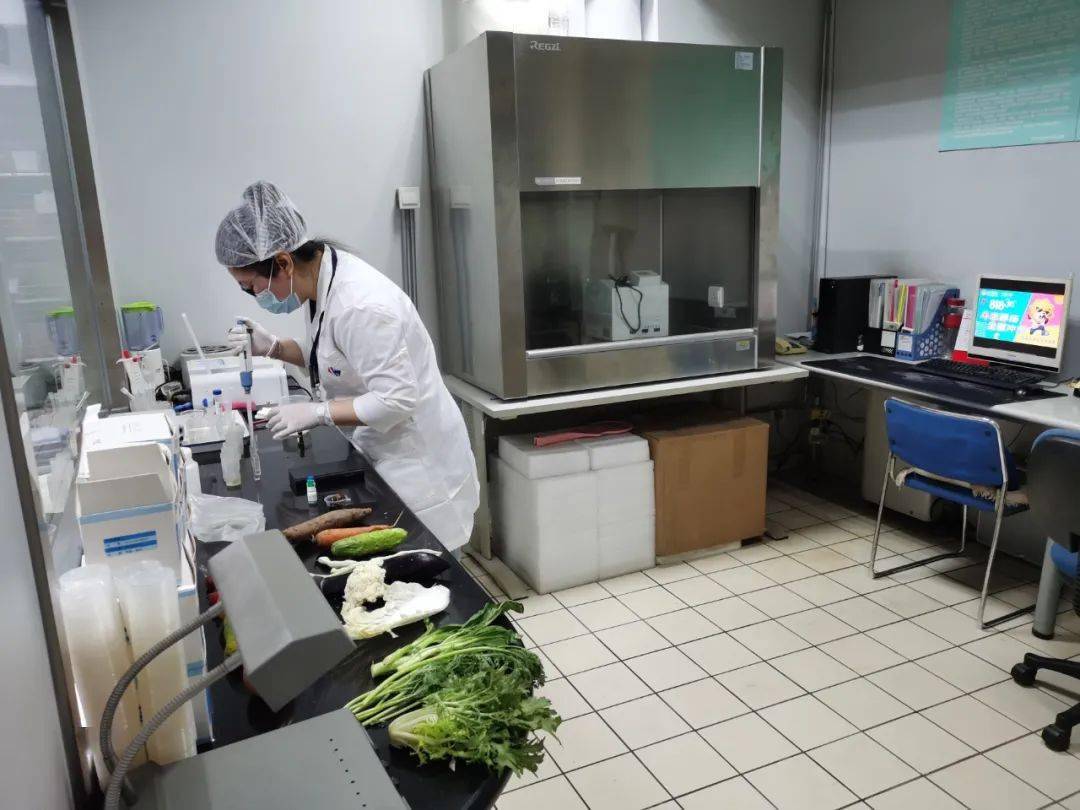 新干食品检测实验室装修方案
